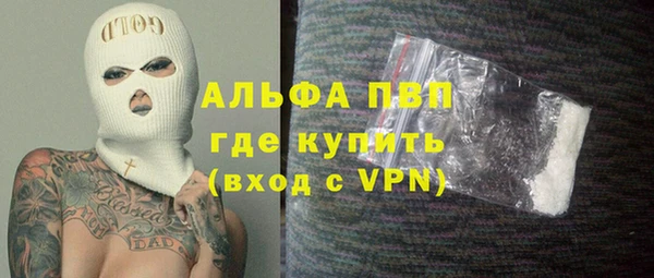 гидра Абаза