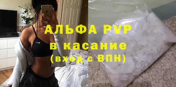 гидра Абаза